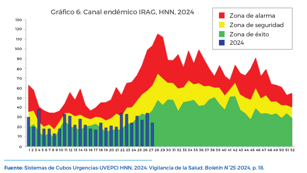 Gráfico 6